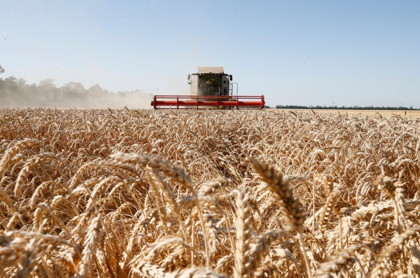 Природа «кинула» російських аграріїв на сім мільярдів рублів Природа «кинула» російських аграріїв на сім мільярдів рублів