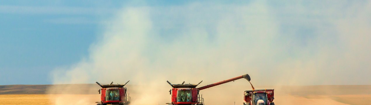 Природа «кинула» російських аграріїв на сім мільярдів рублів