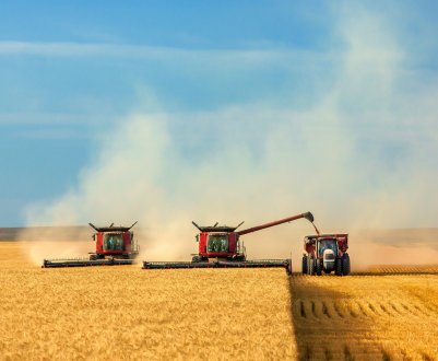 Природа «кинула» російських аграріїв на сім мільярдів рублів