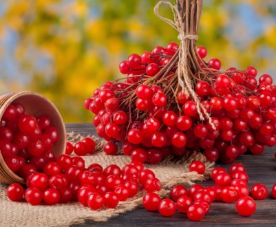 Заморожена калина