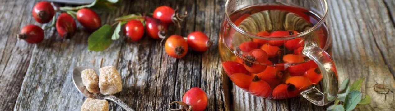 Вплив шипшини на організм людини: вплив ягоди на роботу кишечника, кріпить або проносить