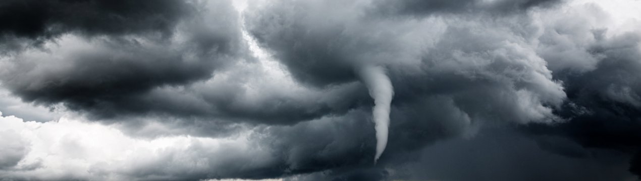 У Вінницькій області стихія пошкодила урожай на 7 тисячах гектарів