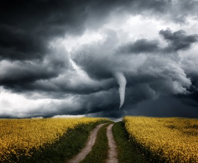 У Вінницькій області стихія пошкодила урожай на 7 тисячах гектарів