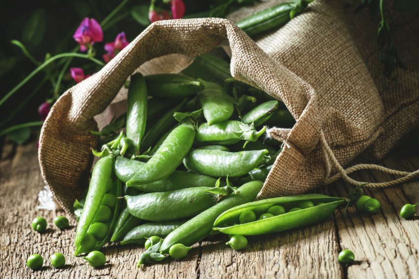 У Вінницькій області стихія пошкодила урожай на 7 тисячах гектарів У Вінницькій області стихія пошкодила урожай на 7 тисячах гектарів