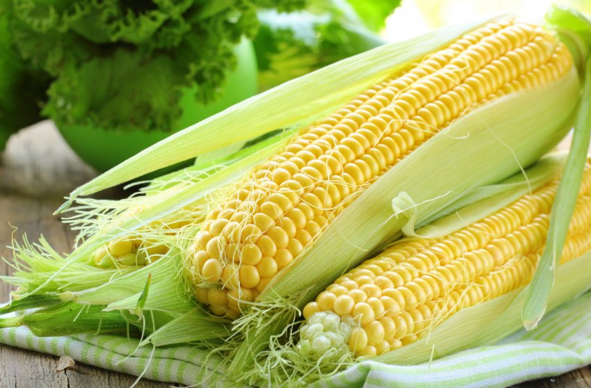 У Вінницькій області стихія пошкодила урожай на 7 тисячах гектарів У Вінницькій області стихія пошкодила урожай на 7 тисячах гектарів