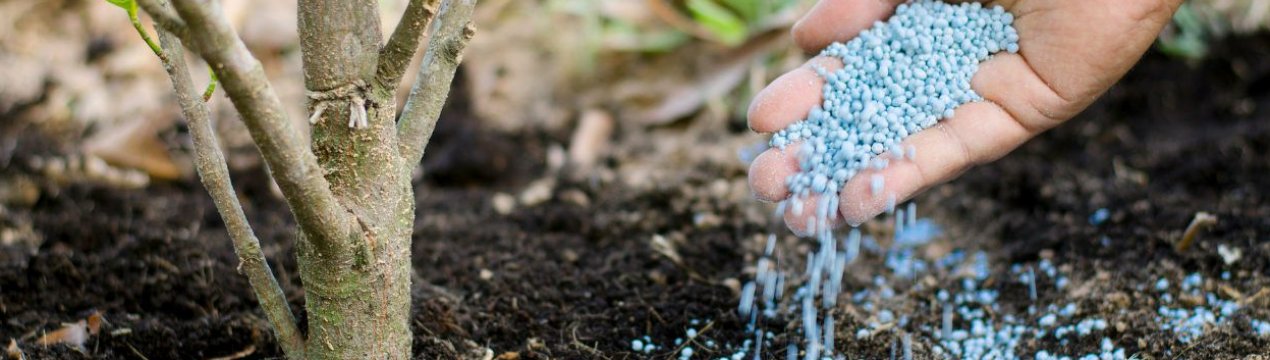 Українські аграрії відчули дефіцит мінеральних добрив