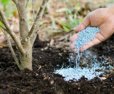 Українські аграрії відчули дефіцит мінеральних добрив 