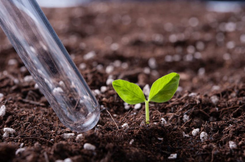 Українські аграрії відчули дефіцит мінеральних добрив