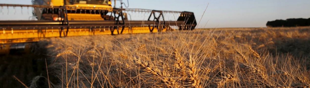 Компанія «Нібулон» закінчує збір врожаю ранніх зернових