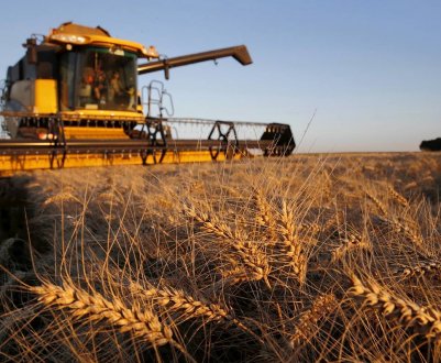 Компанія «Нібулон» закінчує збір врожаю ранніх зернових