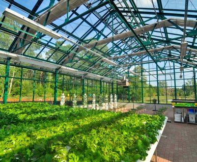 На чеченських просторах зросте унікальний агропарк