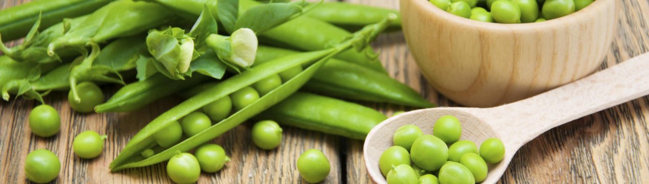 На краснодарських полях править балом горошок