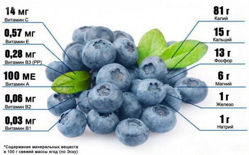 Складу лохини Складу лохини