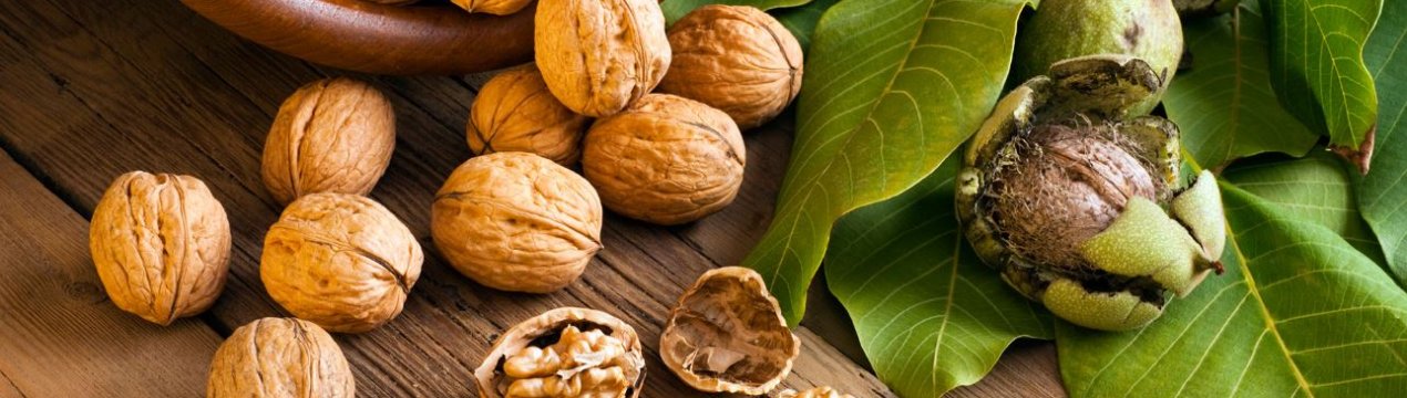 Волоські горіхи в промислових масштабах будуть вирощуватися у Вінницькій області