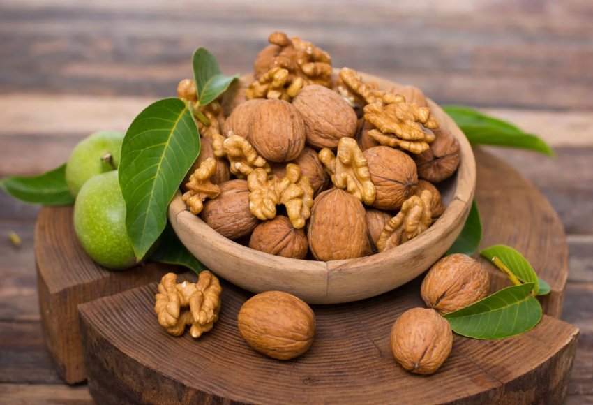 Волоські горіхи в промислових масштабах будуть вирощуватися у Вінницькій області