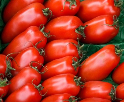 Томат «Московський делікатес»: опис та характеристика сорту, особливості вирощування та догляду