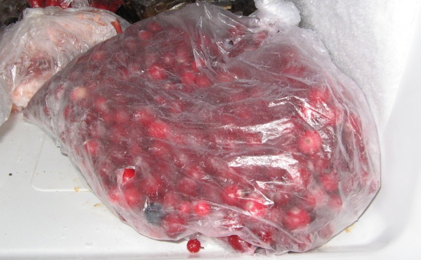 Замороженные ягоды калины