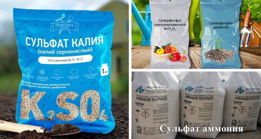 Добриво лохини Добриво лохини