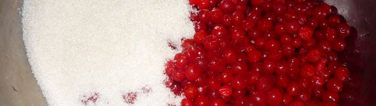 Рецепт калини з цукром на зиму без варіння