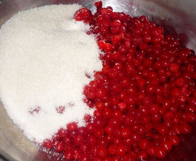 Рецепт калини з цукром на зиму без варіння