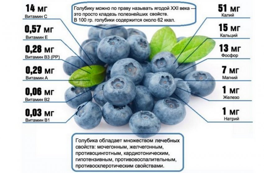 Складу лохини