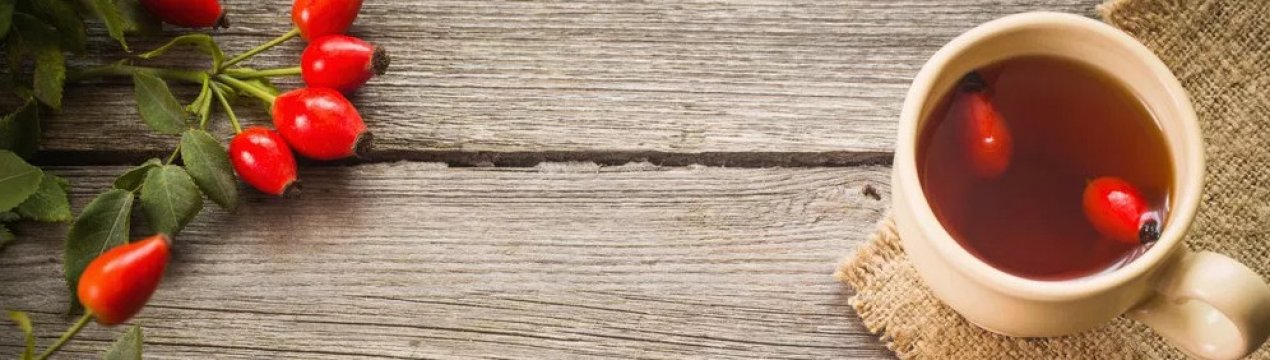 Корисні властивості шипшини для чоловіків