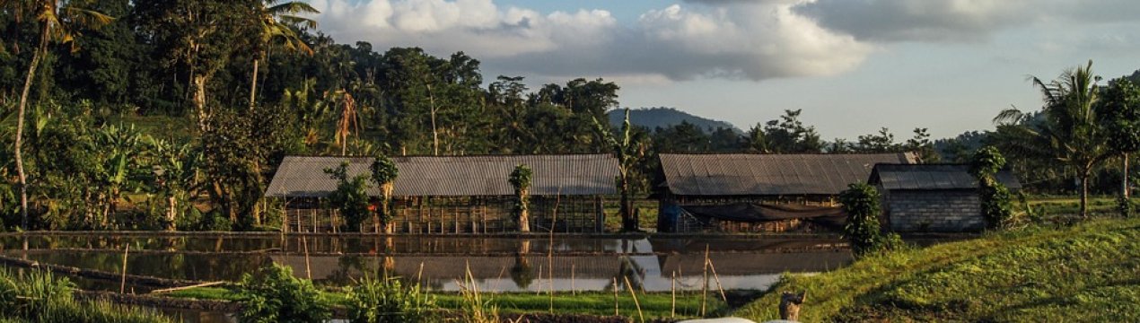 Влада Парагваю пішли назустріч дрібним фермерам