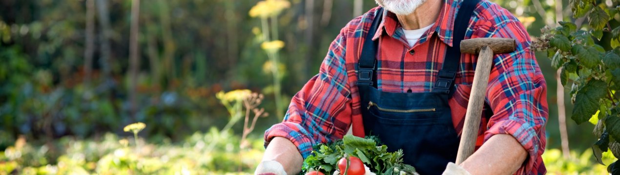 Марій Ел готується заохотити найбільш перспективних аграріїв