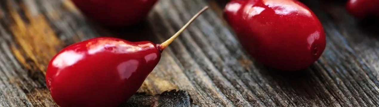 Херсонський садівник вирощує 7 сортів кизилу і нішеві культури