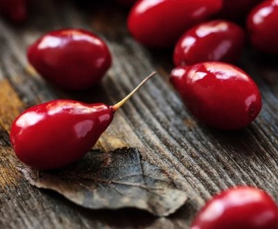 Херсонський садівник вирощує 7 сортів кизилу і нішеві культури