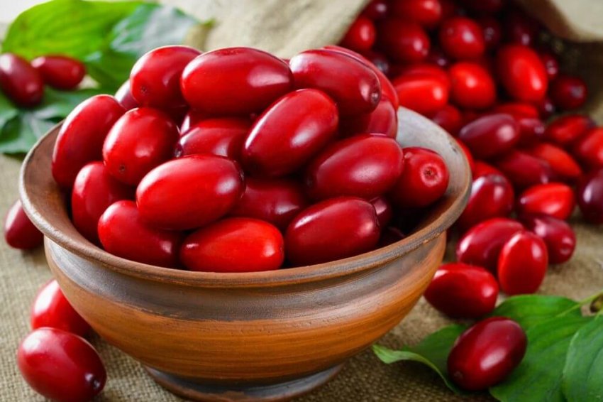 Херсонський садівник вирощує 7 сортів кизилу і нішеві культури Херсонський садівник вирощує 7 сортів кизилу і нішеві культури