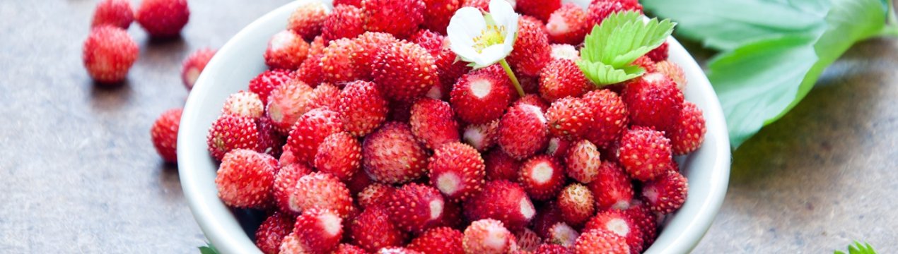 Американські вчені виявили світу нові сорти суниці