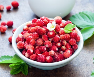 Американські вчені виявили світу нові сорти суниці