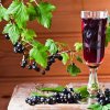 Рецепт вина з чорної смородини 