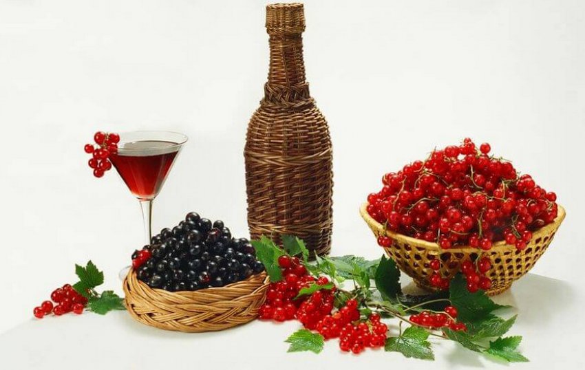 Домашнє вино з чорної та червоної смородини Домашнє вино з чорної та червоної смородини