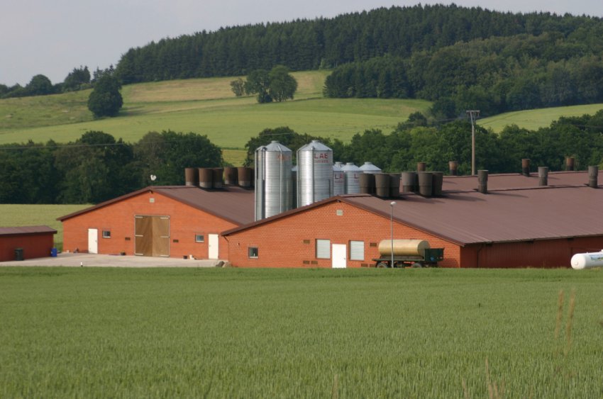 Сільгоспвиробники РФ демонструють завидну стабільність Сільгоспвиробники РФ демонструють завидну стабільність