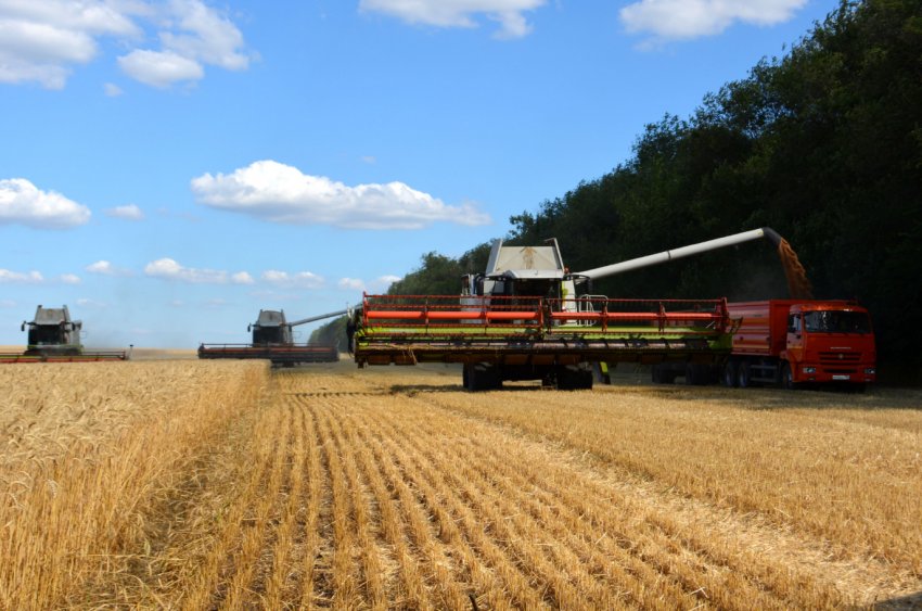 Сільгоспвиробники РФ демонструють завидну стабільність Сільгоспвиробники РФ демонструють завидну стабільність