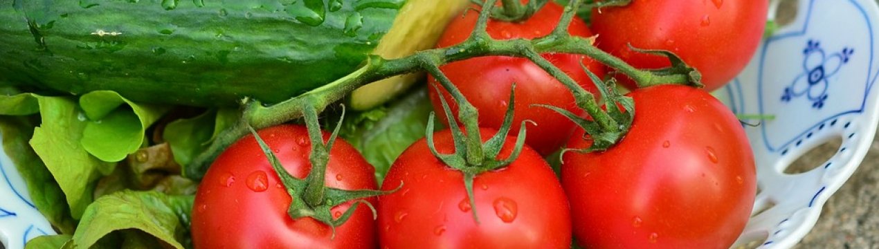 Україна імпортувала рекордний обсяг томатів і огірків