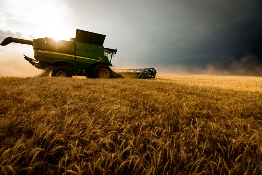 В Інгушетії приймають заявки від місцевих аграріїв на отримання грантів