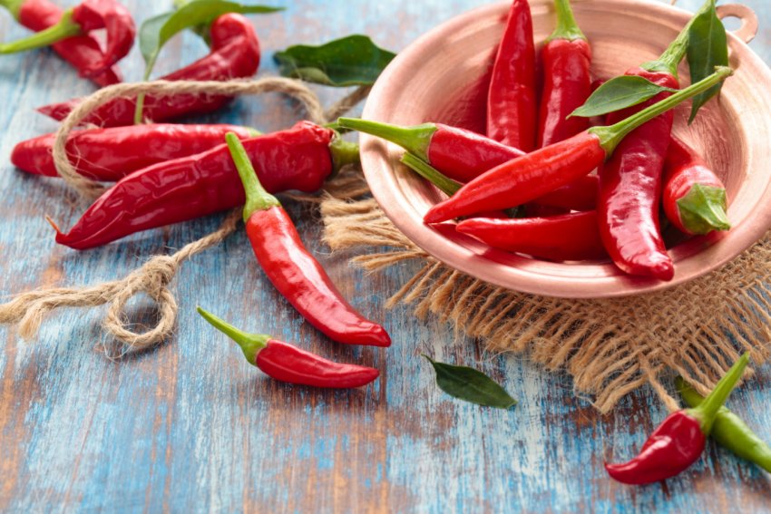 космічних грядках поспіють «вогненні» перчики космічних грядках поспіють «вогненні» перчики