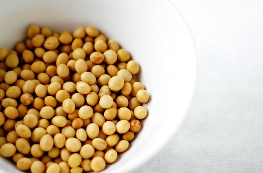 Бразилія все менше бажає ділитися соєю Бразилія все менше бажає ділитися соєю