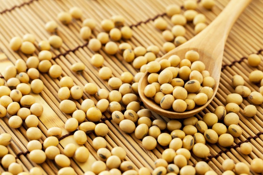 Бразилія все менше бажає ділитися соєю Бразилія все менше бажає ділитися соєю