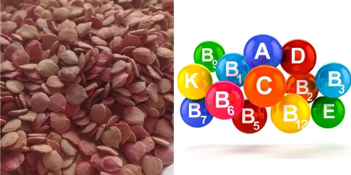 Кісточки калини: корисні властивості, протипоказання, сфери ...