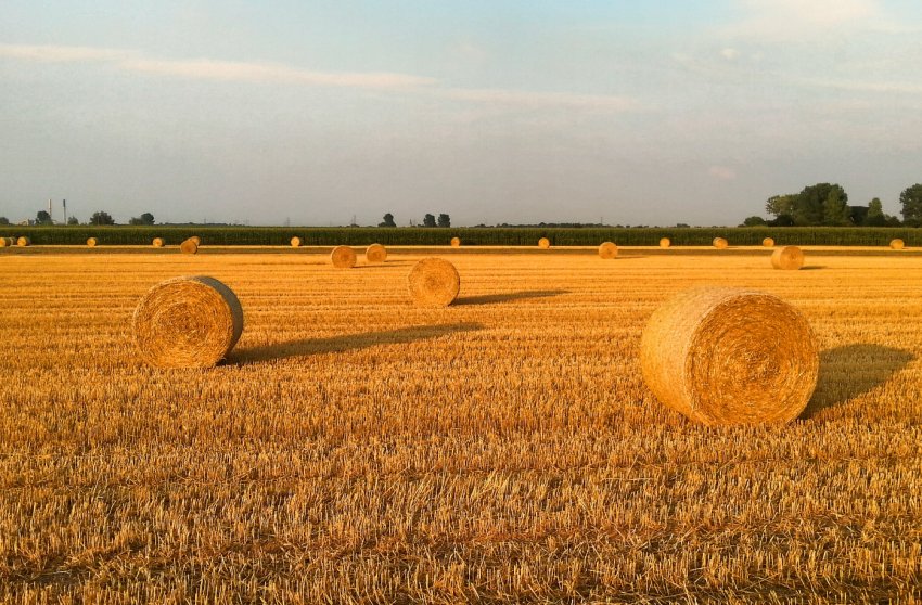 Світовий ринок інтелектуального фермерства зросте до 40 мільярдів доларів до 2026 року Світовий ринок інтелектуального фермерства зросте до 40 мільярдів доларів до 2026 року