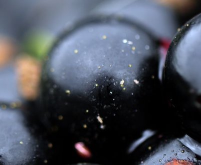 Користь чи шкода смородини при подагрі