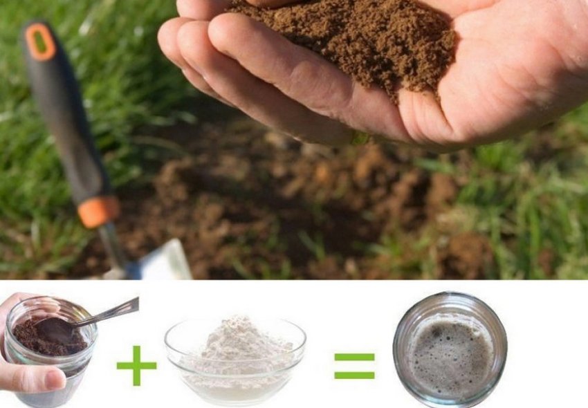 Как узнать кислотность почвы на участке. Исследование почвы на участке. Определить кислотность почвы. Измерить кислотность почвы. Измерение кислотности почвы на даче.