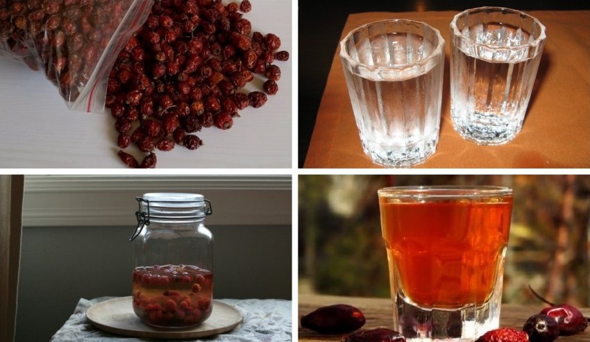 Настій шипшини на горілці Настій шипшини на горілці