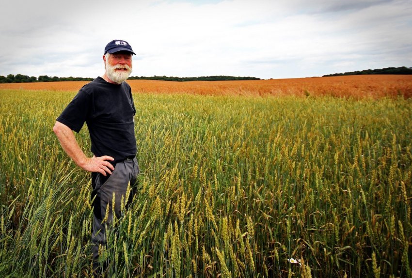 Марій Ел готується заохотити найбільш перспективних аграріїв Марій Ел готується заохотити найбільш перспективних аграріїв