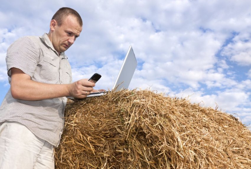 Марій Ел готується заохотити найбільш перспективних аграріїв Марій Ел готується заохотити найбільш перспективних аграріїв