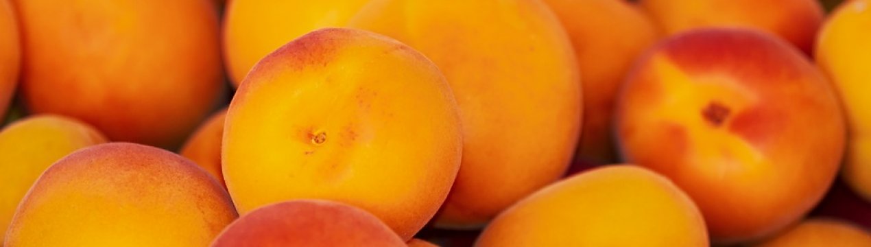 «Персиковий рай» України незадоволений урожаєм 2019 року